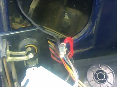IMAG0345