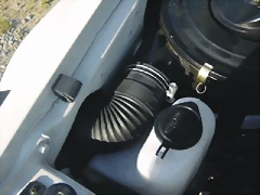 RTEmagicC_845d8fab91.jpg