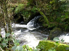 DSCN5752 DSCN5752