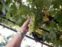 DSCN6752 DSCN6752