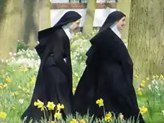 DOS-MONJAS