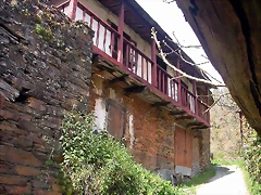 DSCN2028 DSCN2028