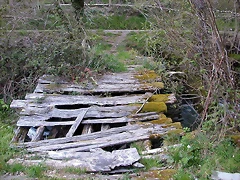 DSCN2221 DSCN2221