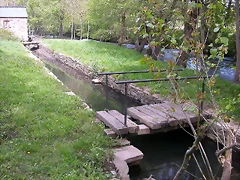 DSCN1993 DSCN1993