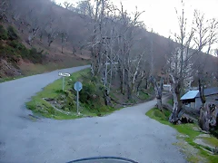 DSCN2193 DSCN2193