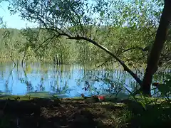 MAS LAGUNA DE LOS PADRES