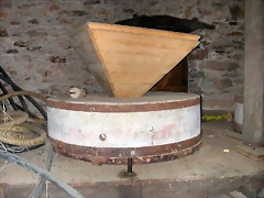 DSCN1997 DSCN1997