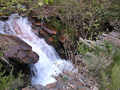 DSCN2178 DSCN2178