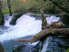 DSCN2227 DSCN2227