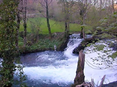 DSCN2228 DSCN2228