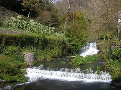 DSCN2046 DSCN2046