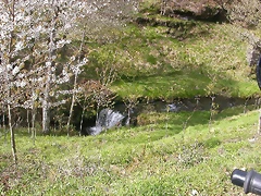 DSCN2068 DSCN2068