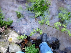 DSCN2231 DSCN2231