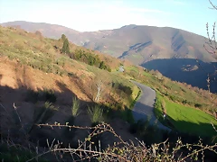 DSCN2245 DSCN2245