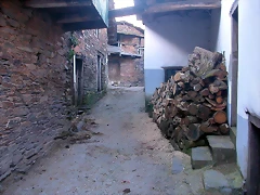 DSCN2205 DSCN2205