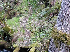 DSCN2226 DSCN2226