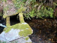 DSCN2229 DSCN2229
