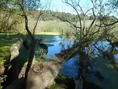 LAGUNA DE LOS PADRES EN FAMILIA