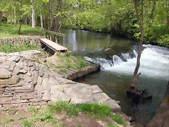 DSCN1995 DSCN1995