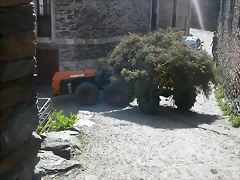 DSCN2021 DSCN2021