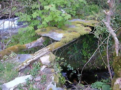DSCN2224 DSCN2224