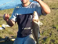 CORVINA RUBIA BARRANCA DEL NORTE