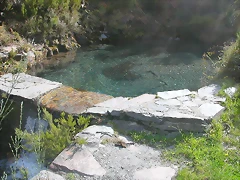 DSCN2083 DSCN2083