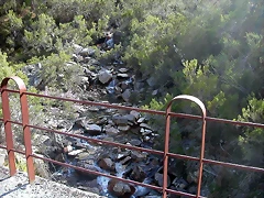 DSCN2102 DSCN2102