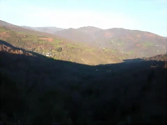 DSCN2246 DSCN2246