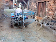 DSCN2197 DSCN2197
