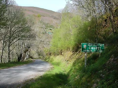 DSCN2109 DSCN2109