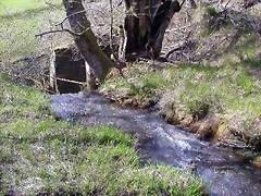 DSCN2077 DSCN2077