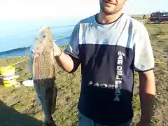 CORVINA RUBIA BARRANCA DEL NORTE