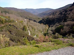 DSCN2108 DSCN2108