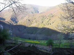 DSCN2211 DSCN2211