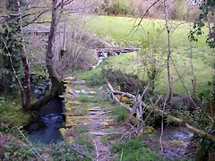DSCN2219 DSCN2219