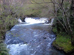 DSCN2220 DSCN2220