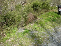 DSCN2072 DSCN2072