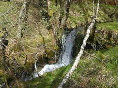 DSCN2078 DSCN2078