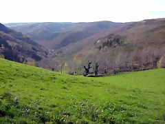 DSCN2086 DSCN2086