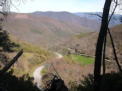 DSCN2095 DSCN2095