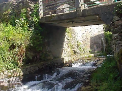 DSCN2044 DSCN2044