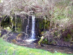 DSCN2104 DSCN2104