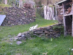DSCN2151 DSCN2151