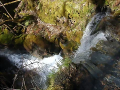 DSCN2075 DSCN2075