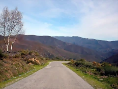 DSCN2092 DSCN2092
