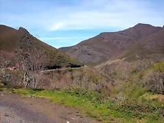 DSCN2115 DSCN2115