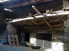 DSCN2137 DSCN2137