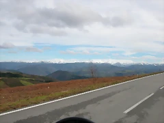 DSCN7871