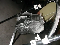 DSCN3956